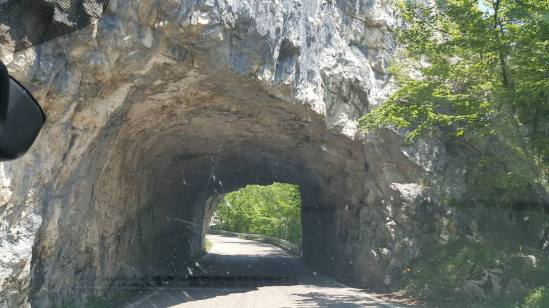 18838966_10213494535344631_4295771493537483746_n