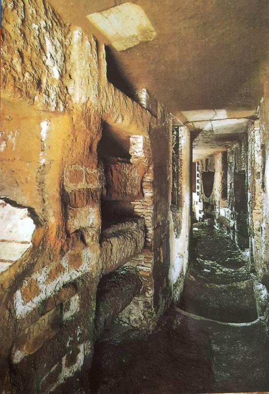 18893078_10213490576445661_8586156553567348742_n