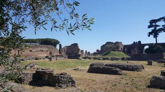 18921882_10213482049952504_8319375860295818027_n