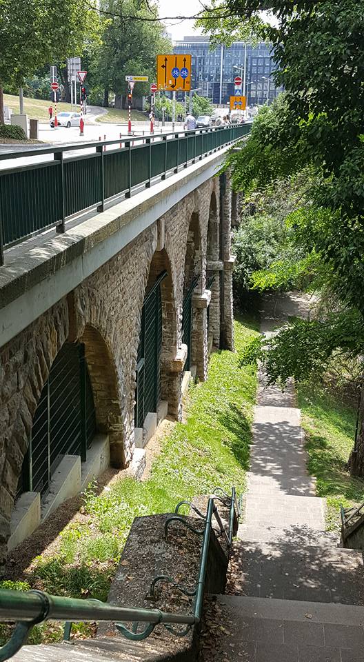 19145881_10213619783155748_2981699165752187013_n