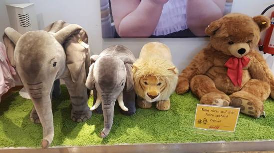 19225595_10213619592310977_31578197607846329_n