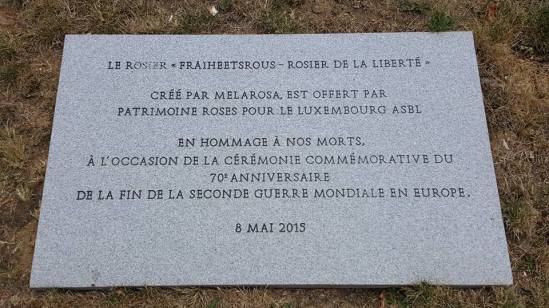 19274756_10213619785235800_3661709327164081746_n