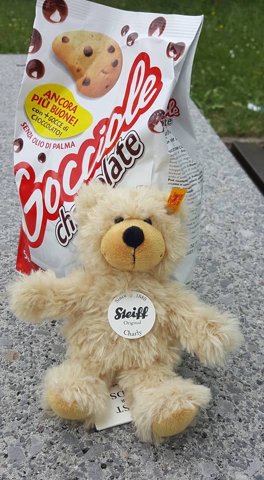 19275105_10213619606231325_6754728716544193575_n