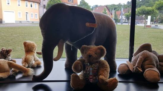 19366200_10213619593911017_1046655718804328880_n