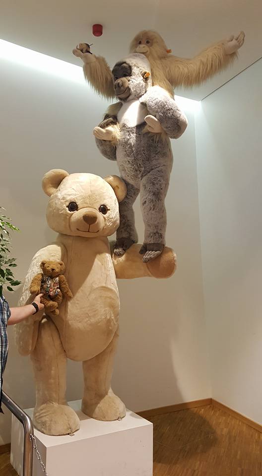 19397176_10213619595591059_8653880933562708231_n